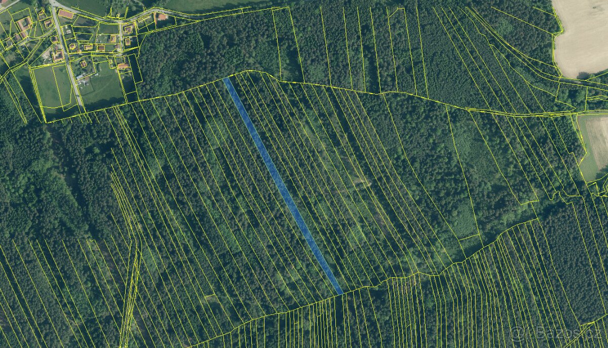Prodám lesní pozemek v k.ú. Ločenice, p.č. 810 - 17
