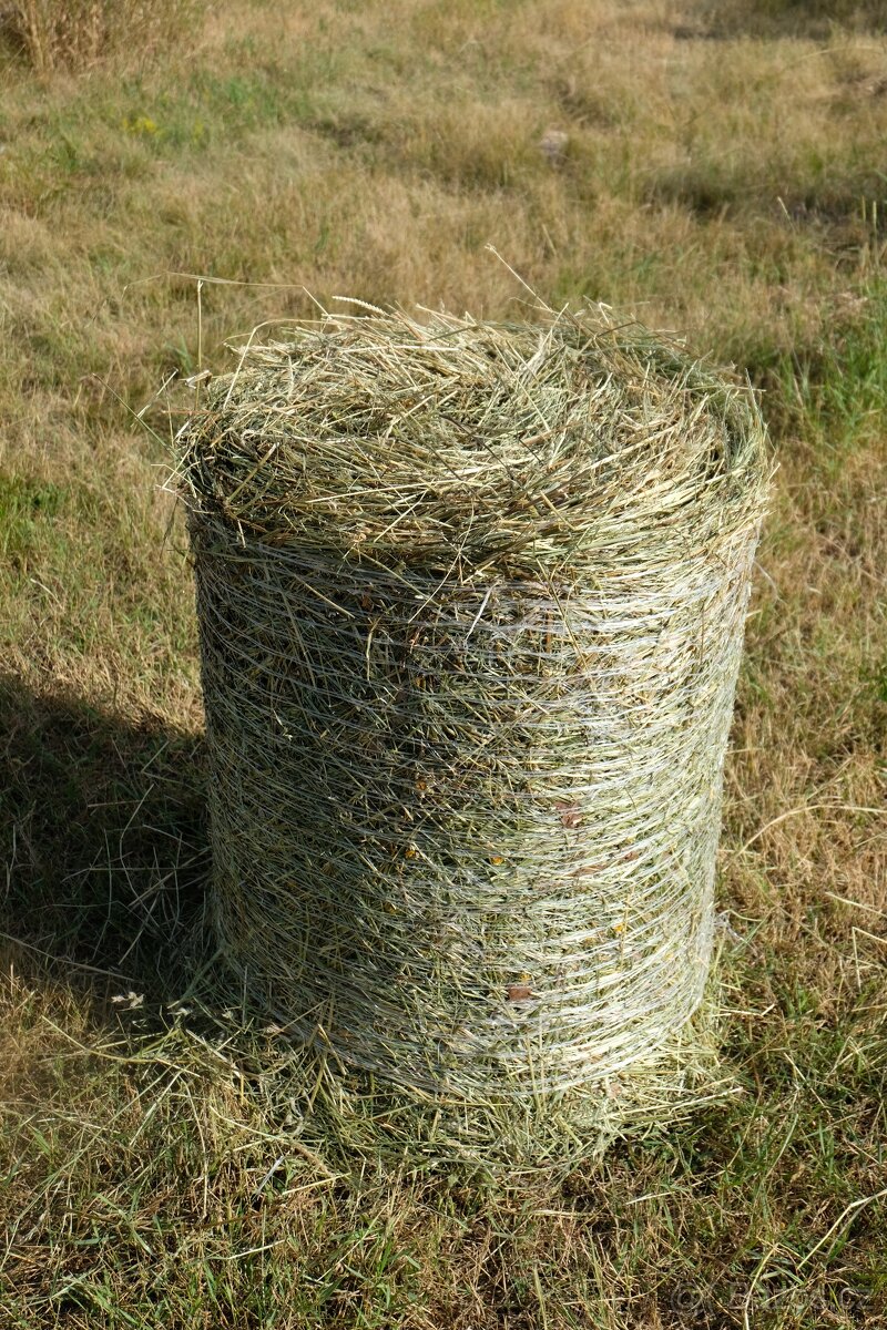 Prodej lučního sena - 17