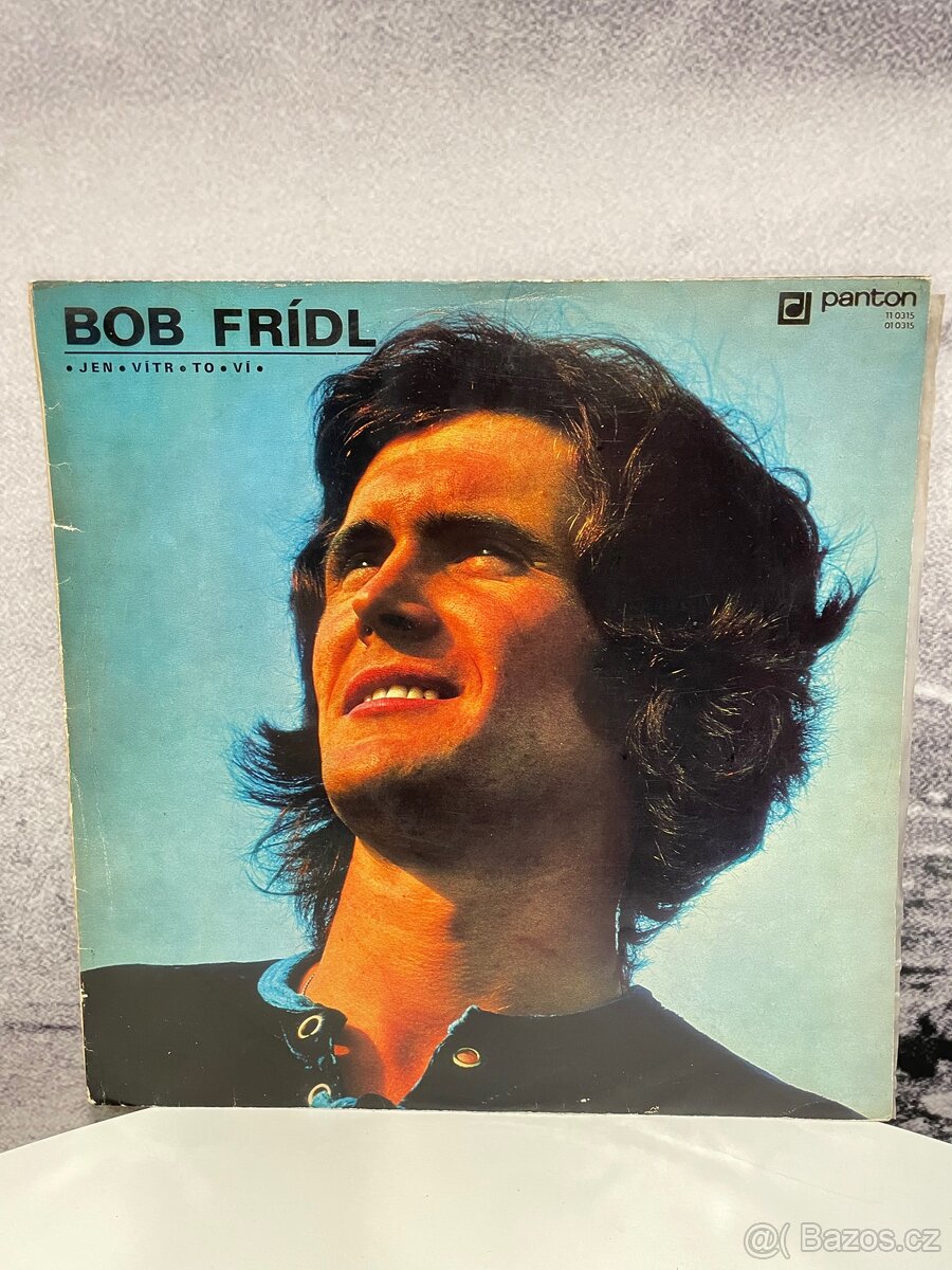 Gramofonové desky č.2 cena za 1 kus - 17