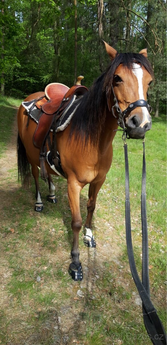 Pasování botek pro koně: - 17