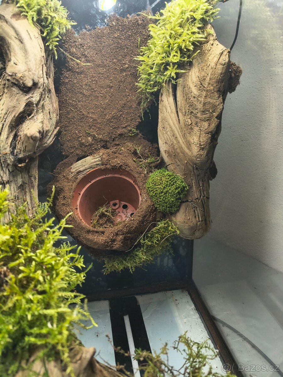 Terárium velké 60x45x45 - 17