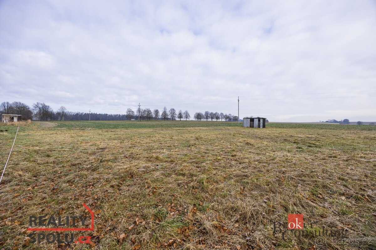 Prodej, pozemky/bydlení, 1000 m2, Rybná nad Zdobnicí, Rychno - 17