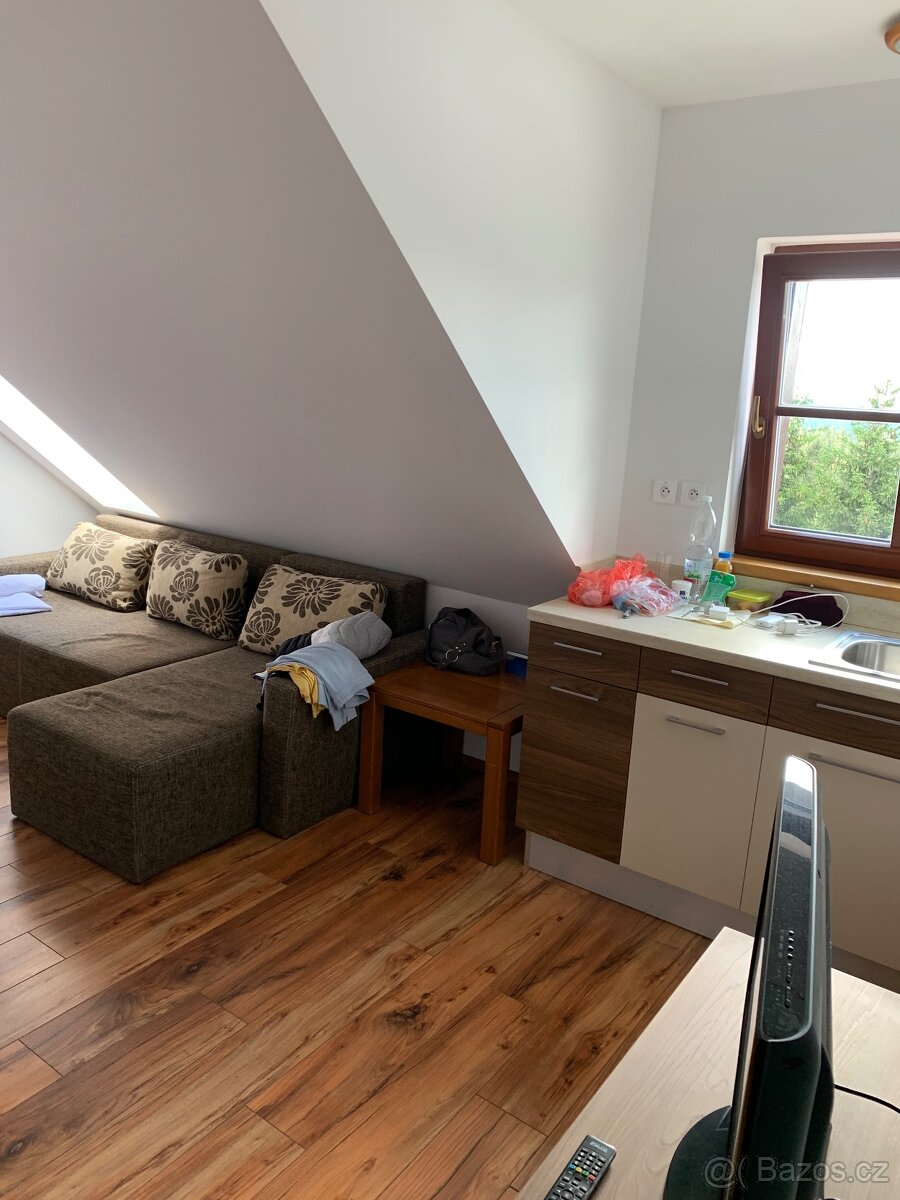 Prodám celoroční provoz -apartmán na horách - 17