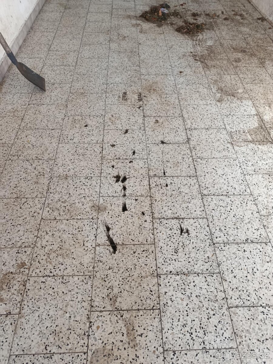 Ford Focus 1.6 tdci 80kw TOP CENA - 17