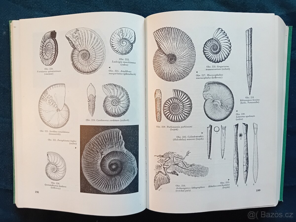 GEOLOGIE - MINERALOGIE - KNIHY - 17
