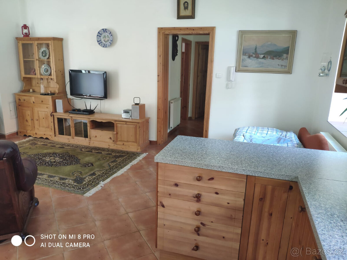 Půvabný mlýn s rybníky, lesy, pastvinami, 5 apartmanů - 17