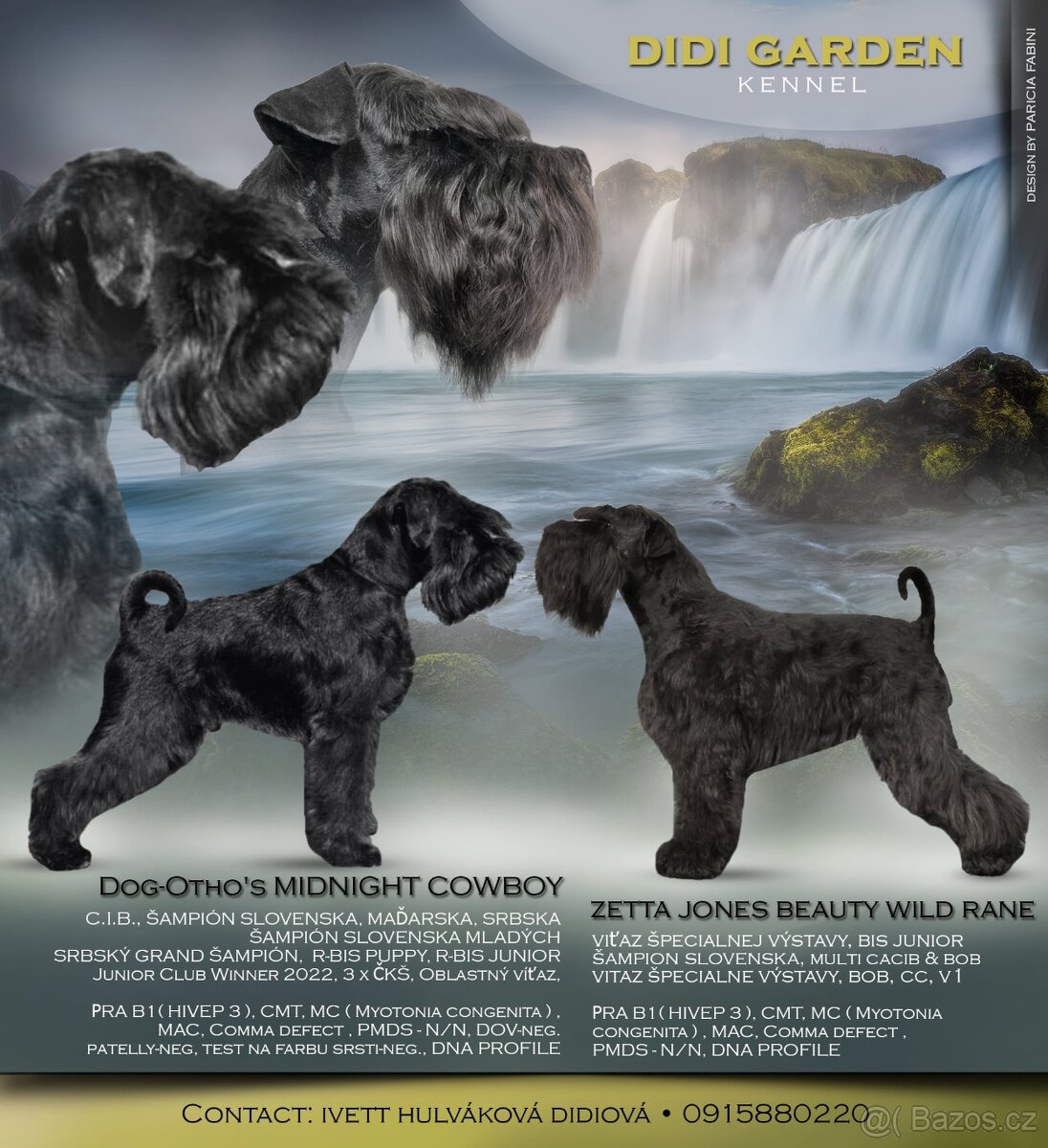 Knírač malý černý - 17