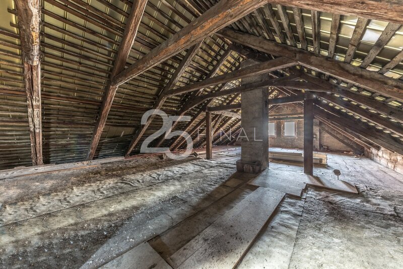 Prodej multifunkčního rodinného domu v obci Kosmonosy - 17