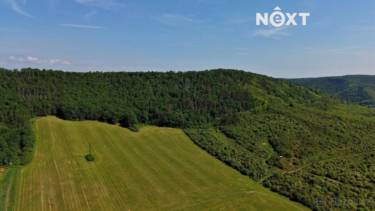 Prodej pozemek Lesy, 3149㎡ - 17
