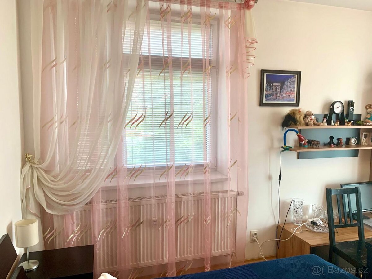 Pronajem 1kk Novodvorska - 17