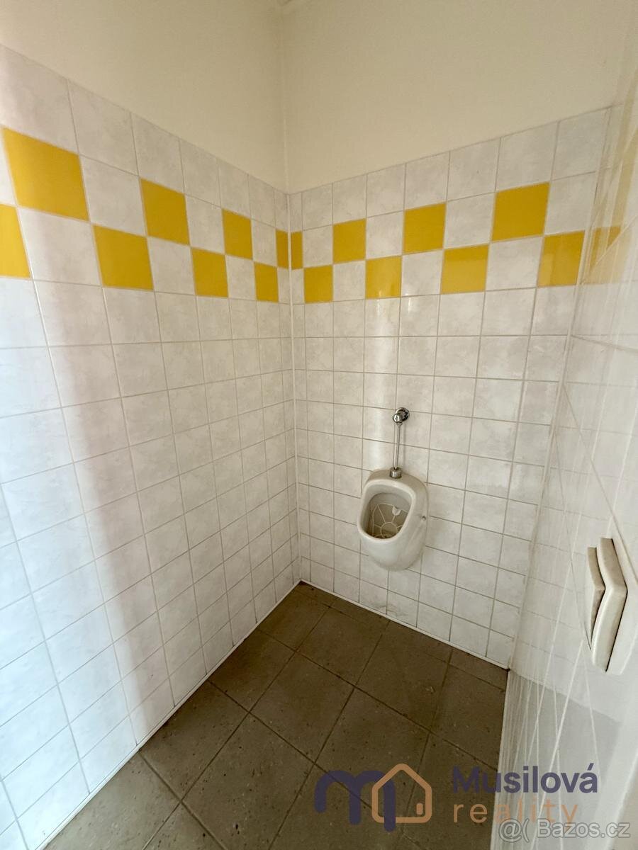 Pronájem obchodního prostoru 65 m2 - 17