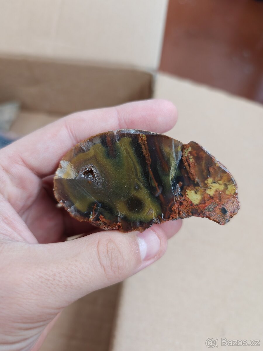 Acháty řezy Timor - 17