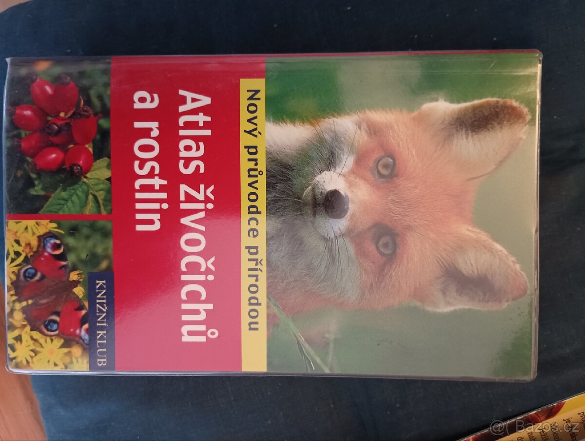 Různé knihy (některé obrovské, kvalitní, nové) - 17