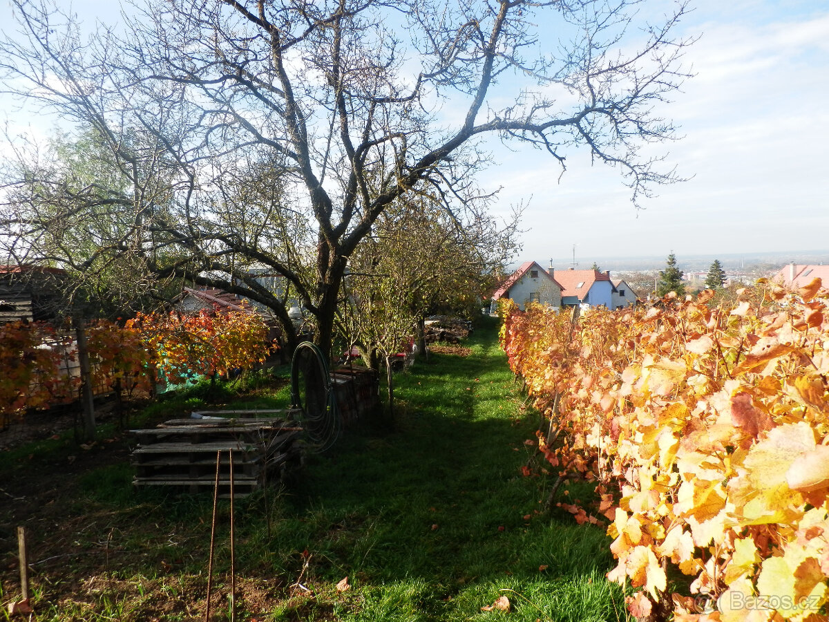 Predám vinohradnícky domček s pozemkom v Skalici na Slovensk - 17