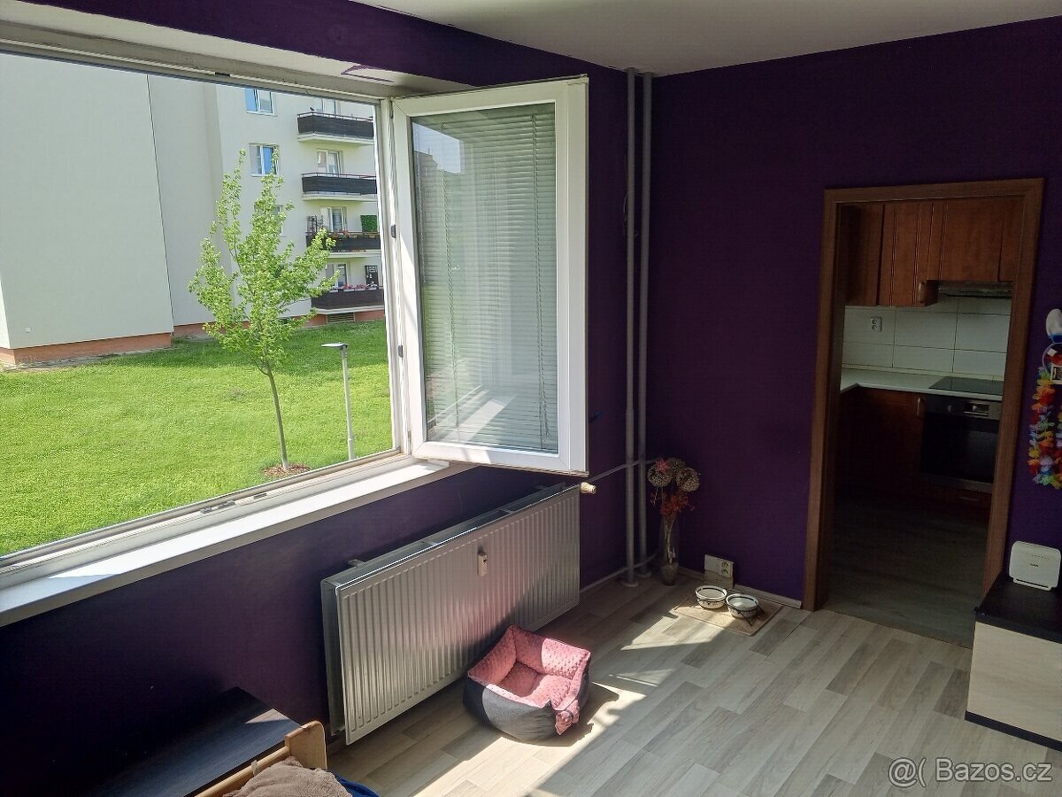 Prodej bytu 2+1 Nové Sady Olomouc - 17