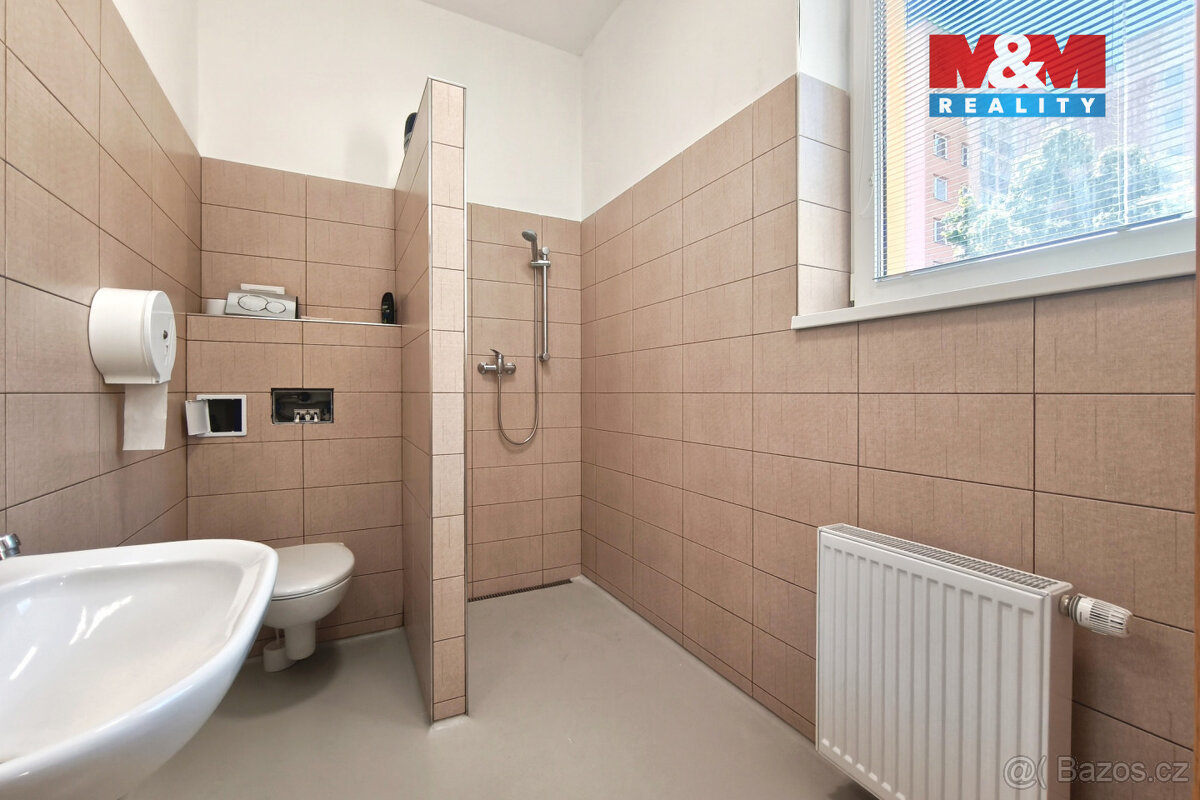 Pronájem obchod a služby, 160 m², Mladá Boleslav - 17