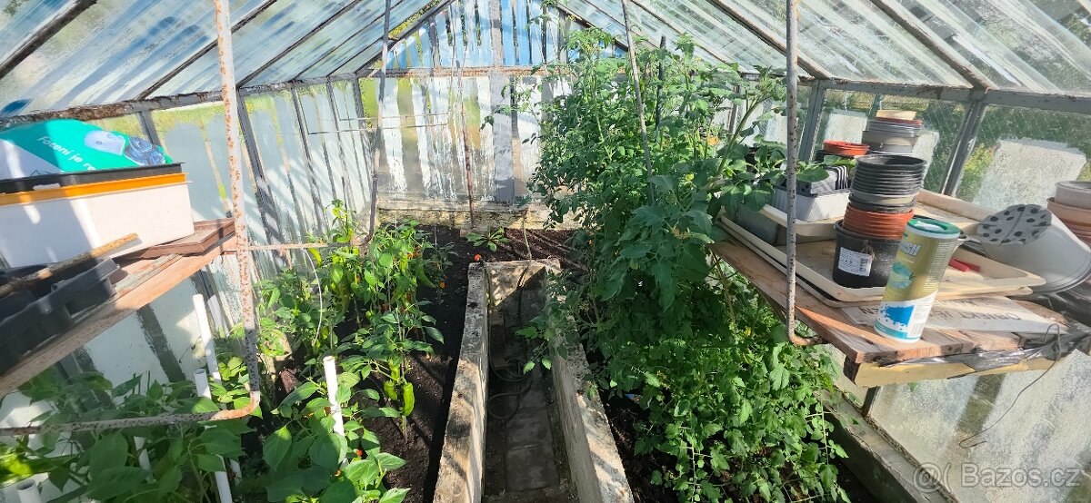 Prodám zahradu v Litvínově, Chudeřín, v osobním vlastnictví. - 17