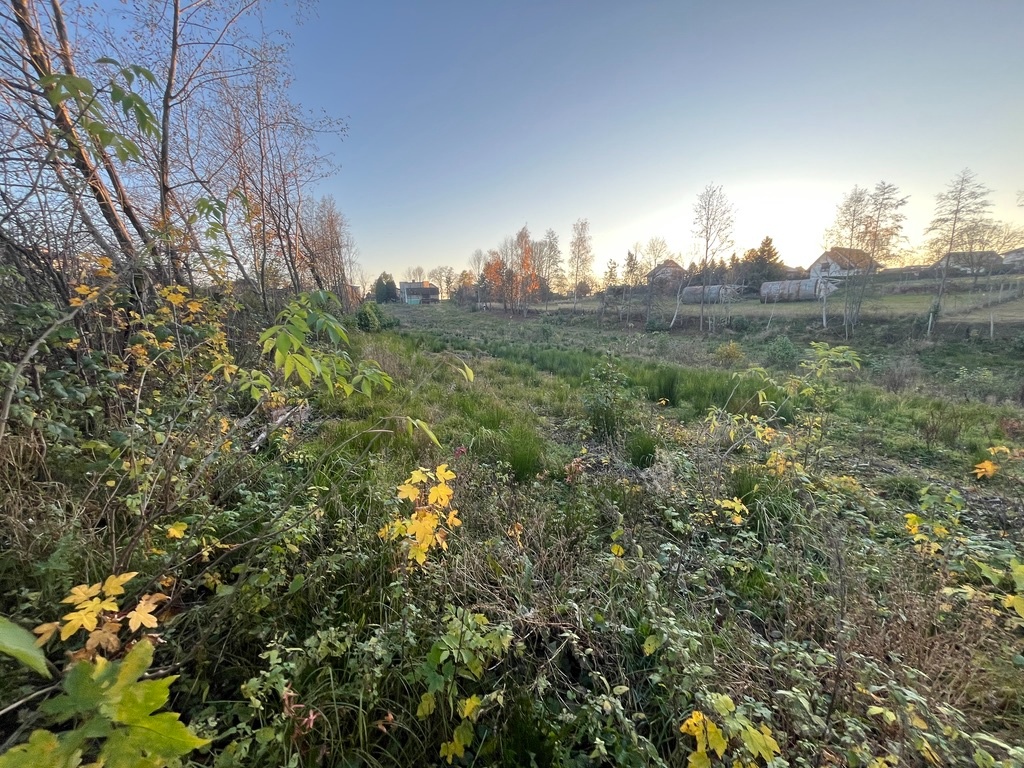 Prodej, pozemek 4200m2 - 17