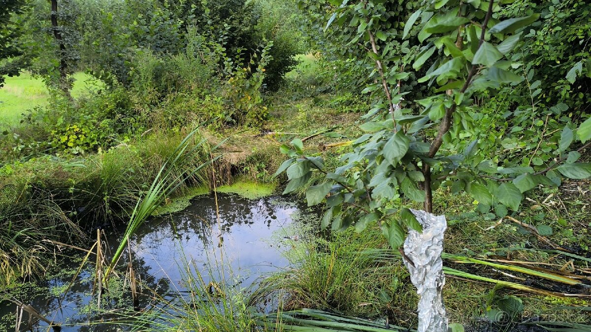 pronajem zahrady P R O N A J A T O volne 2/2026 - 17