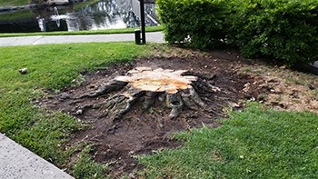 FRÉZOVÁNÍ - ODSTRAŇOVÁNÍ PAŘEZŮ - 17