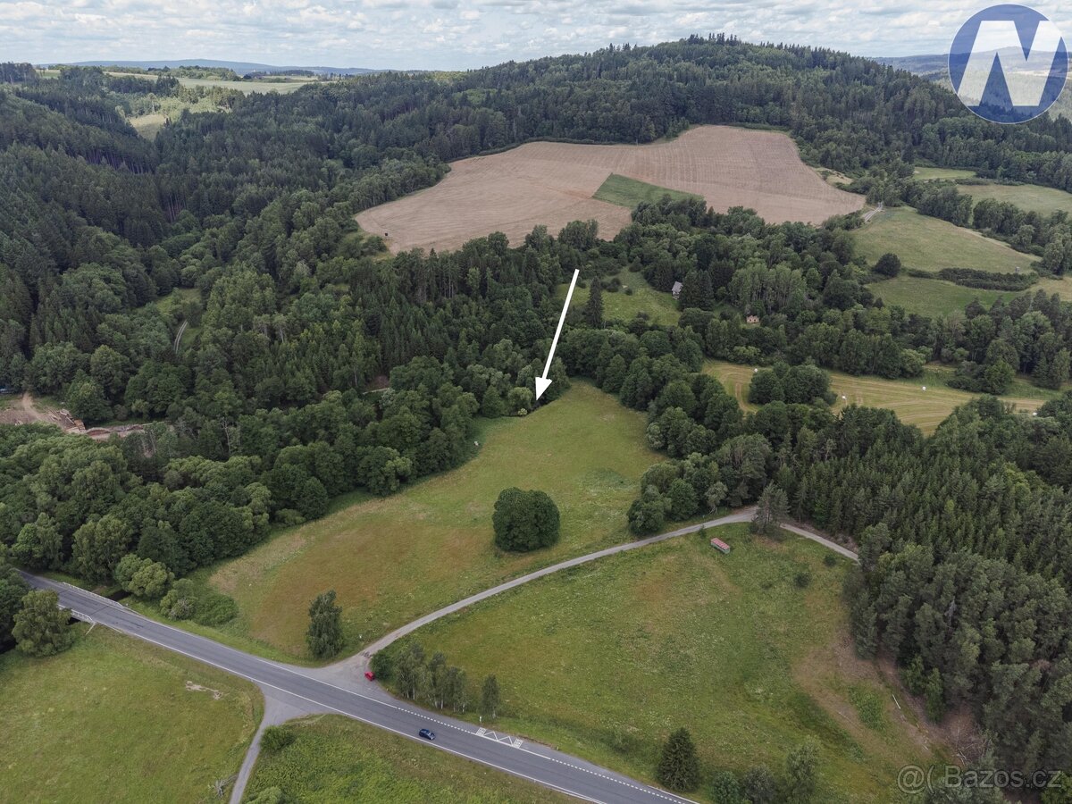 Prodej soustavy rybníků, Kříženec u Mariánských Lázní, možno - 17
