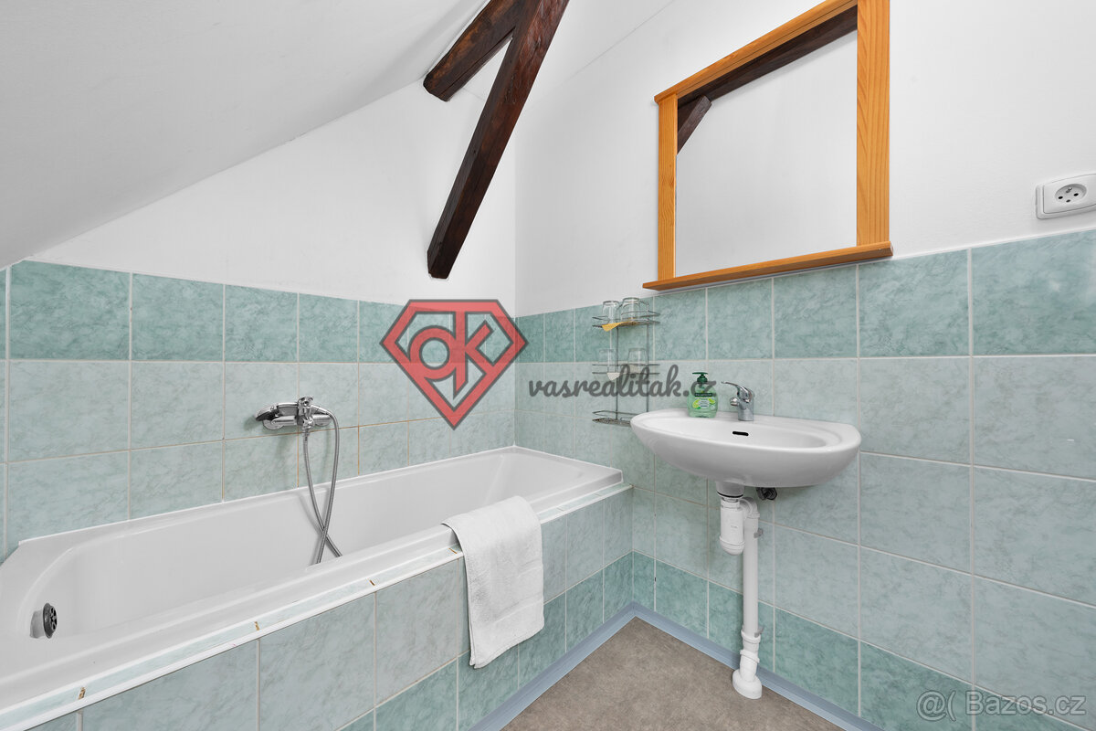 PRODEJ - penzion Hanka v Orličkách - 17