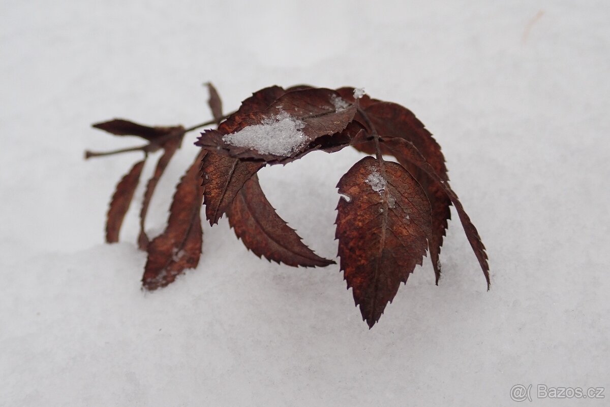 Olympus Tough TG-5 + bohaté příslušenství - 17