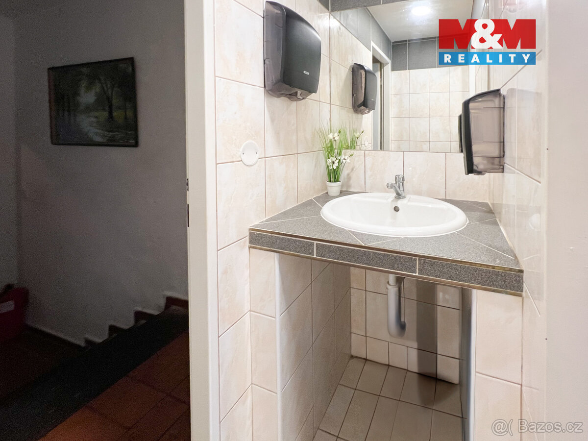 Pronájem restaurace, 270 m², Železná Ruda - 17