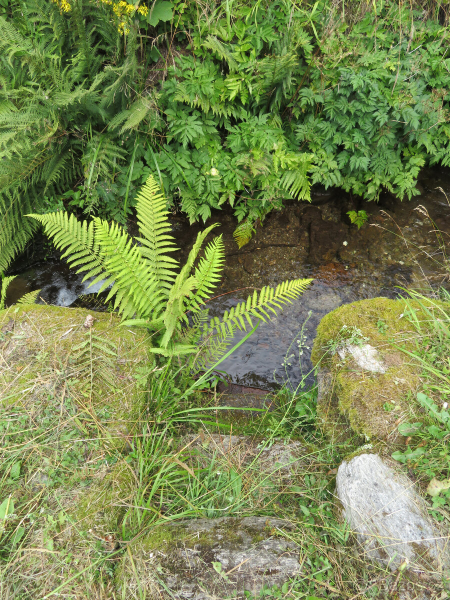 PRODEJ, HORSKÁ CHALUPA - 17