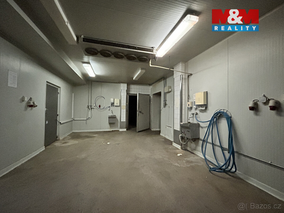 Pronájem výrobního objektu, 2400 m², Litenčice - 17