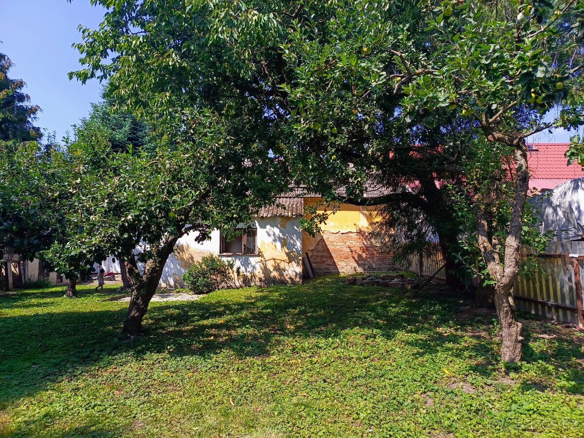 Prodej domu 53 m², pozemek 565 m², Poděvousy - Domažlice - 17