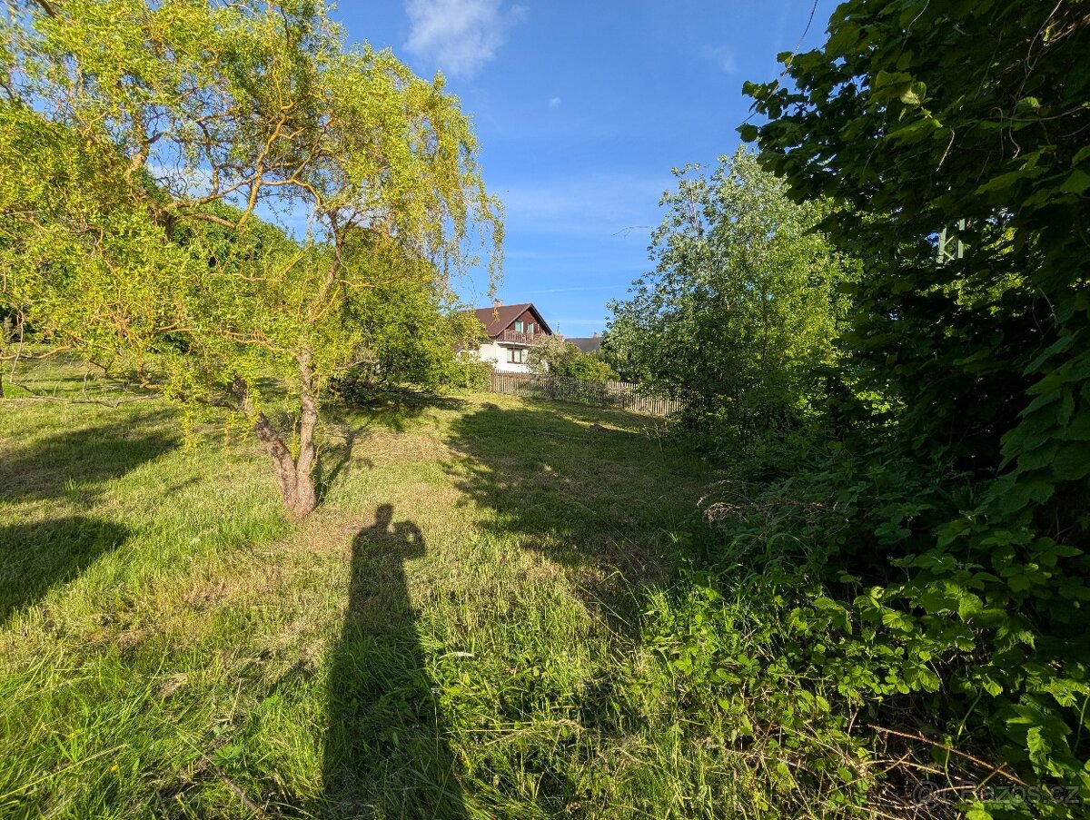 Stavební parcela Jenišovice 1293 m2 - 17