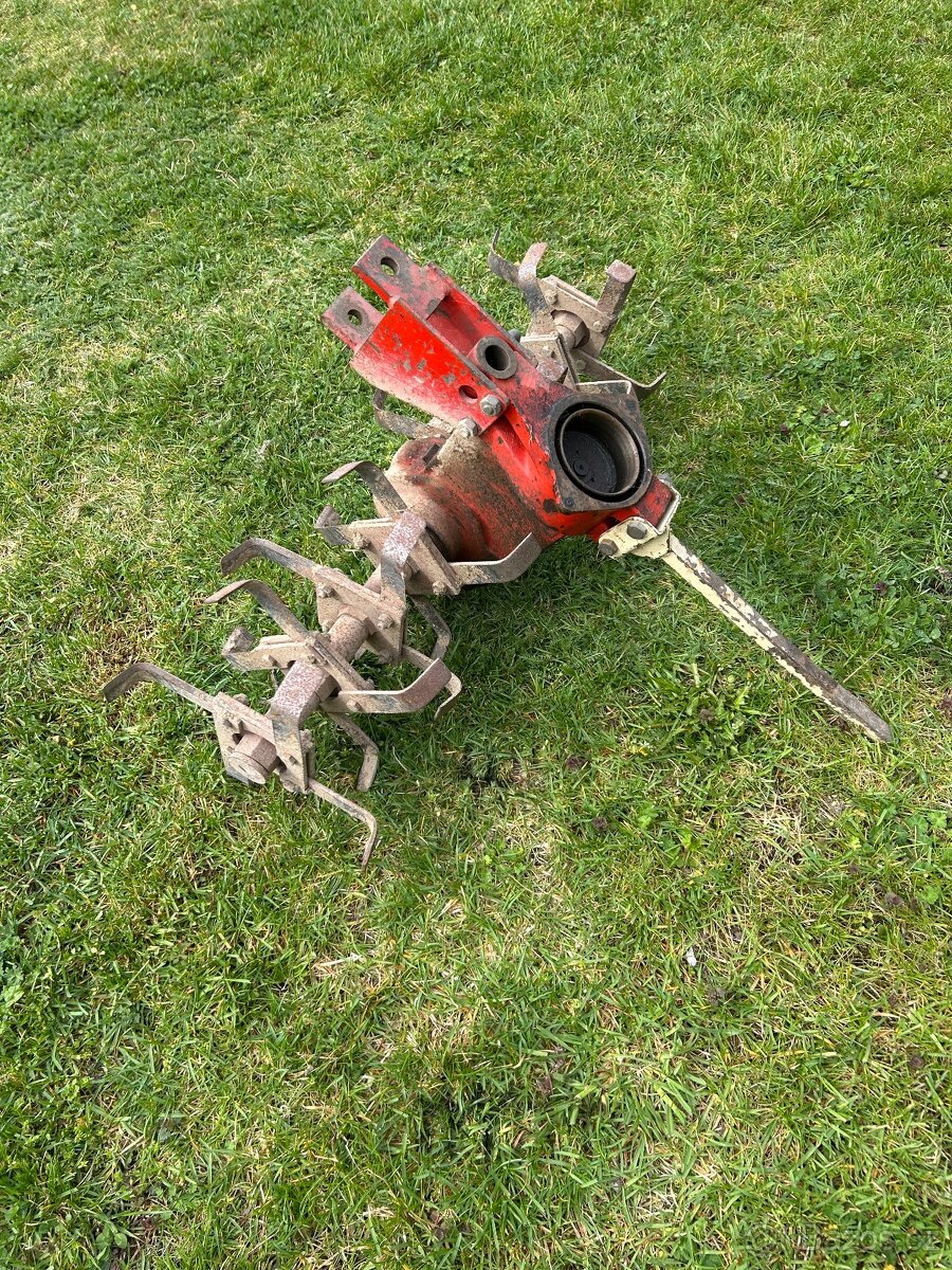 Tera - 17