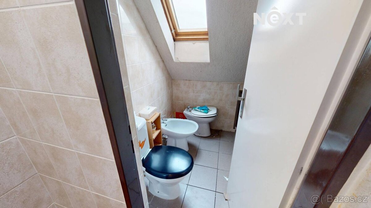 Prodej Vícegeneracní dům, 230㎡ - 17