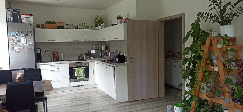 Pronájem 2+kk, A. Rašína Olomouc - 17