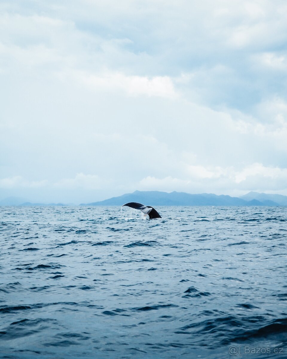 Fotoaparát Olympus PEN + objektivy - 17