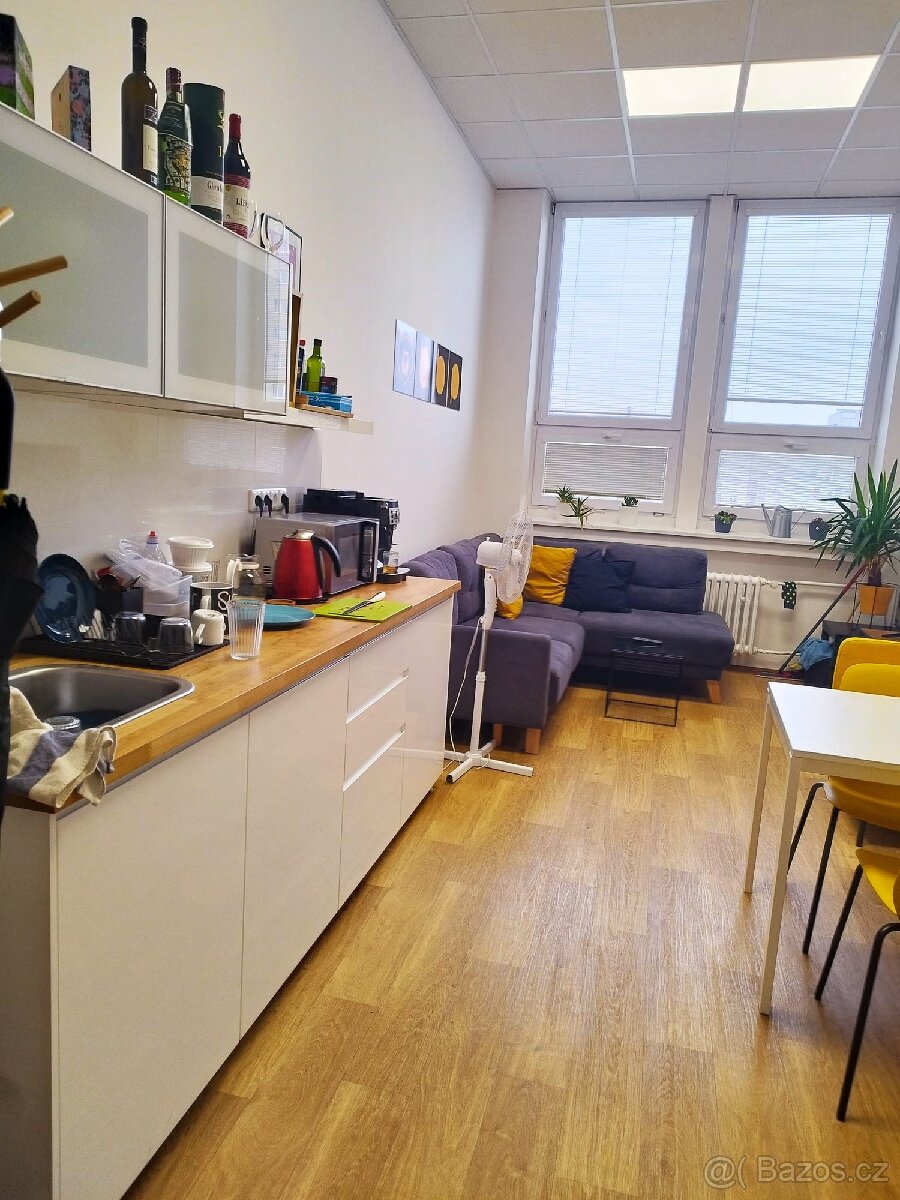 PRONÁJEM KANCELÁŘSKÝCH PROSTOR - 17