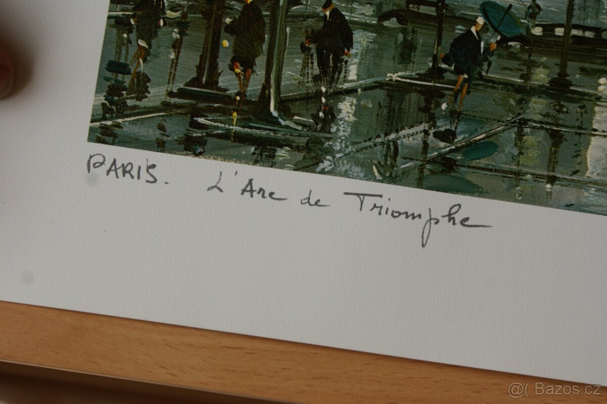 knihy a obrazy, třeba někoho ještě potěší - 17