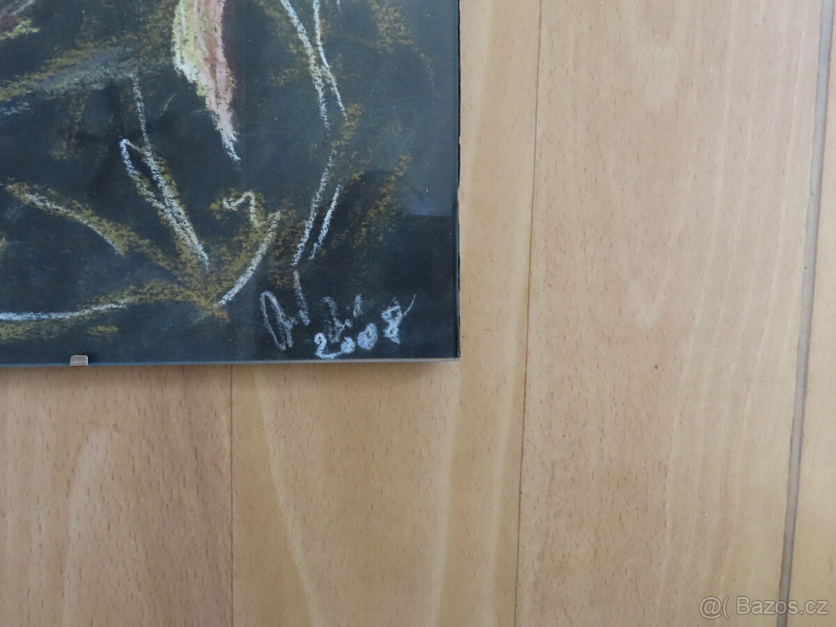 Srnčí parůžky - 17