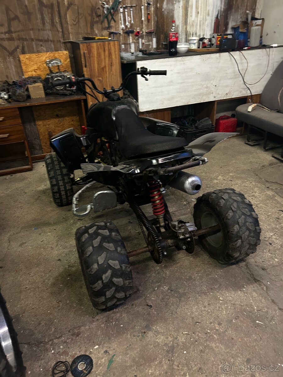 650 Campell Bashan 250 - 17