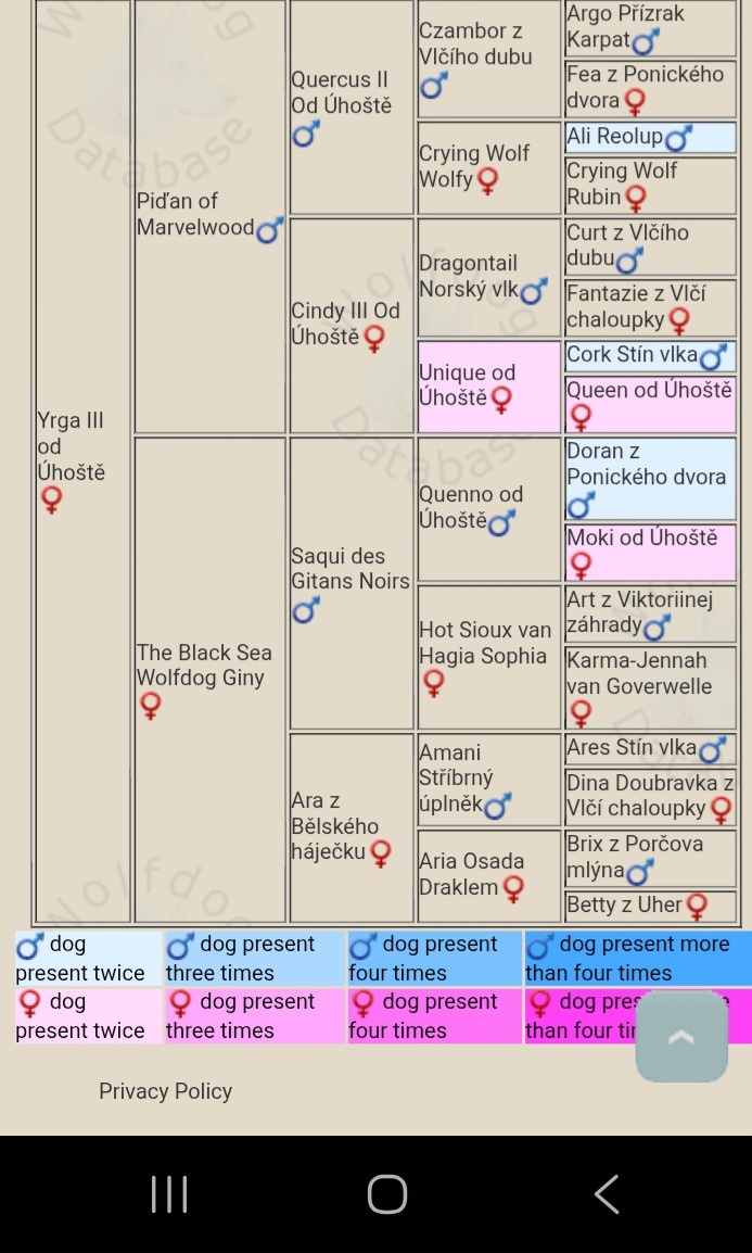 Československý vlčák - 17