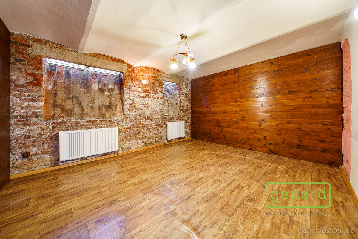 Prodej suterénního bytu 2+1, 53 m², Evropská ul., Cheb - 17