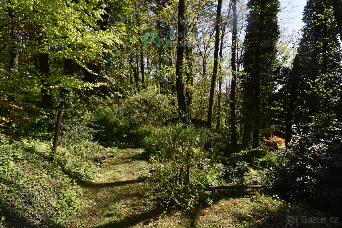 Prodej, Chata 40m2, Křížanovice - 17