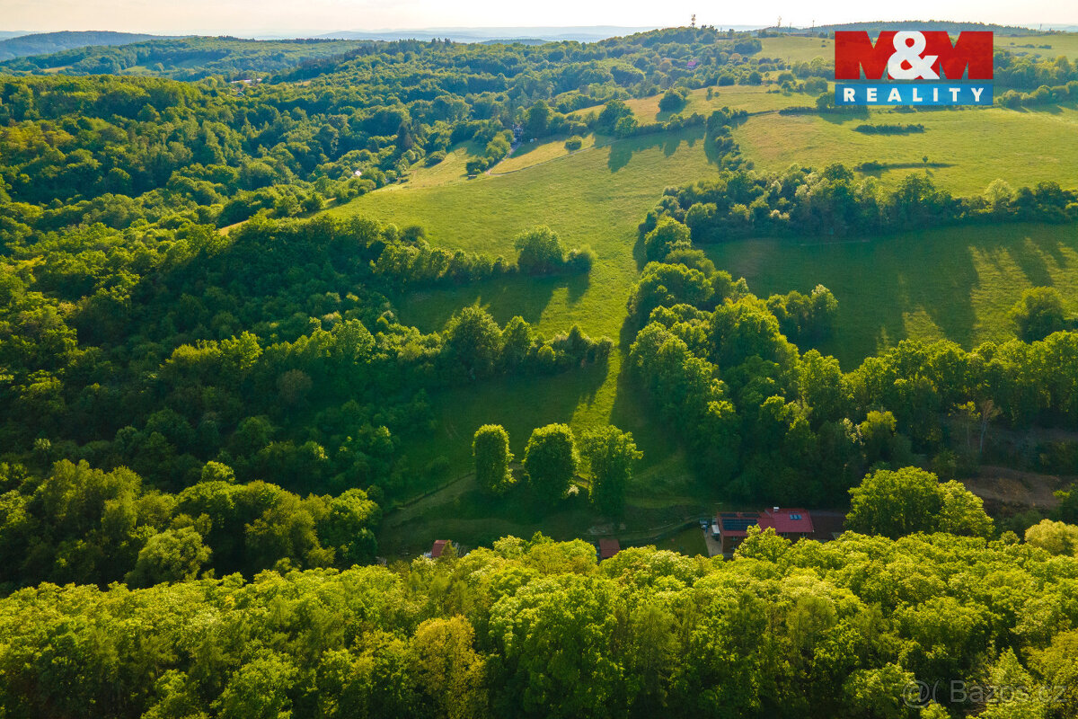 Prodej louky, 18692 m², Jílové u Prahy - 17