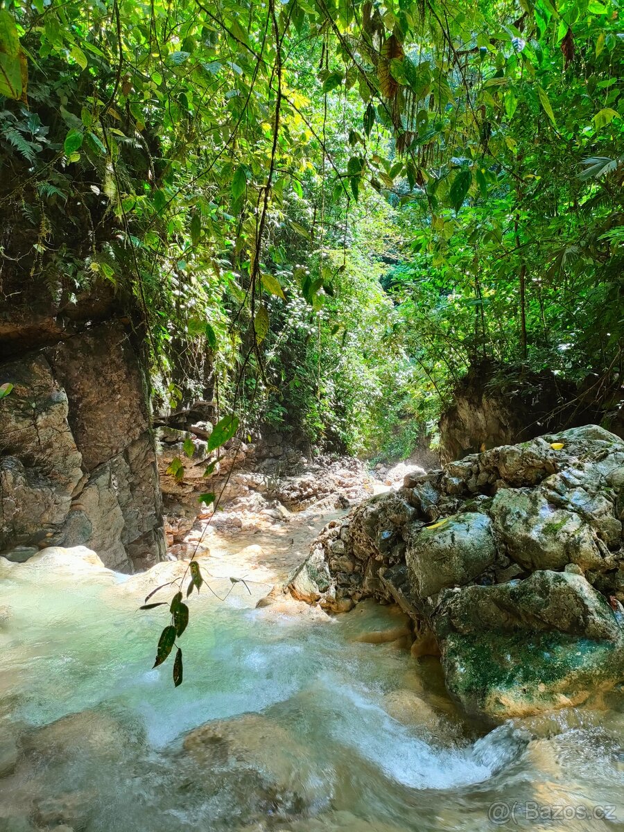 Farmy Kostarika Rio Claro - 17