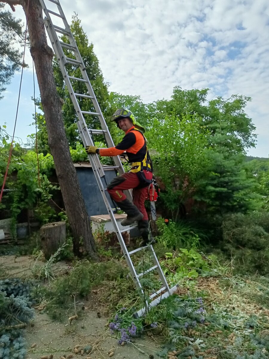 Rizikové kácení stromů - 17