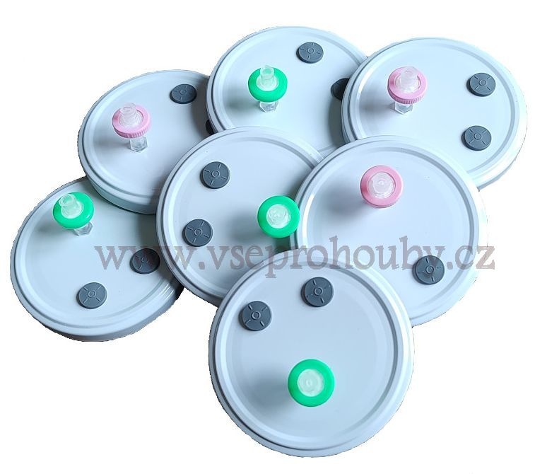 Sadba - Hlíva ústřičná, plicní, modrá, růžová, královská - 17