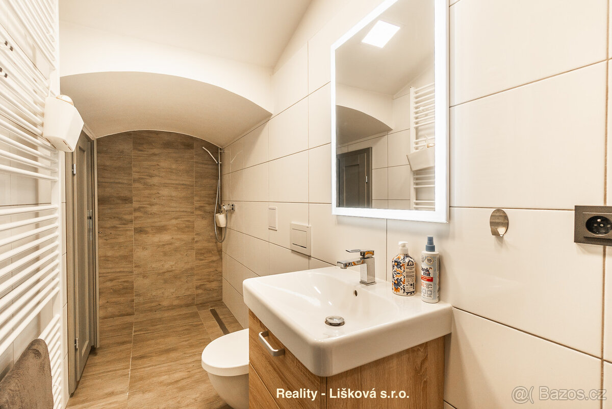 Prodej areálu s všestranným využitím nedaleko dálnice Praha - 17