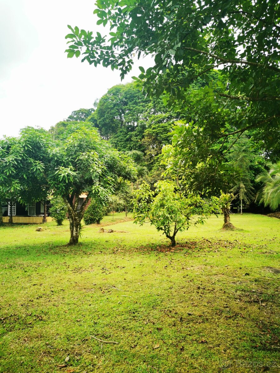 Pozemek s chatou Kostarika Heredia Sarapiqui - 17