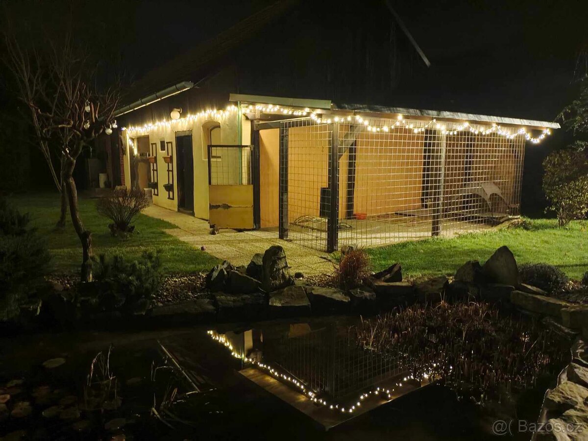 Hlídání psů - 17